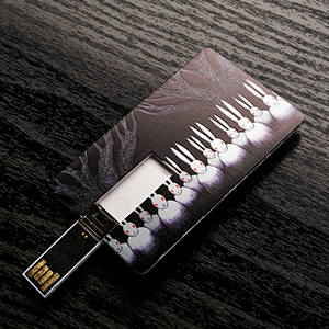 Credit Card USB Flash Drive-0