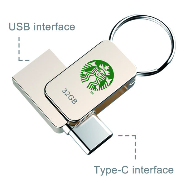 USB-C Metal Swing With Key Ring-0